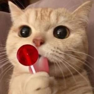 Meet your Posher, Valery